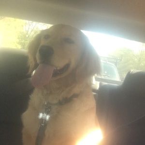 Meet your Posher, Luke